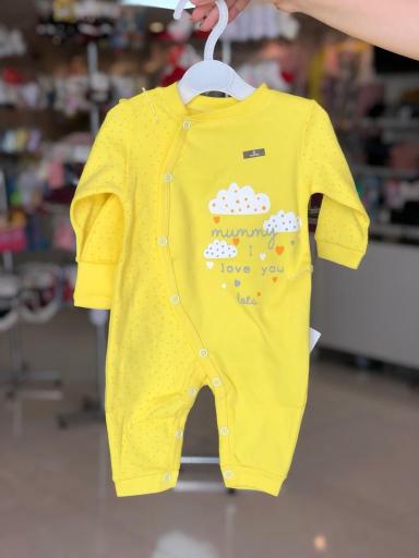 عکس سیسمونی آوند