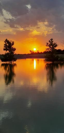 عکس بند خاکی دررود