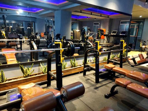 عکس باشگاه بدنسازی زون