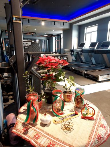 عکس باشگاه بدنسازی زون