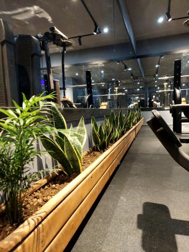 عکس باشگاه بدنسازی زون