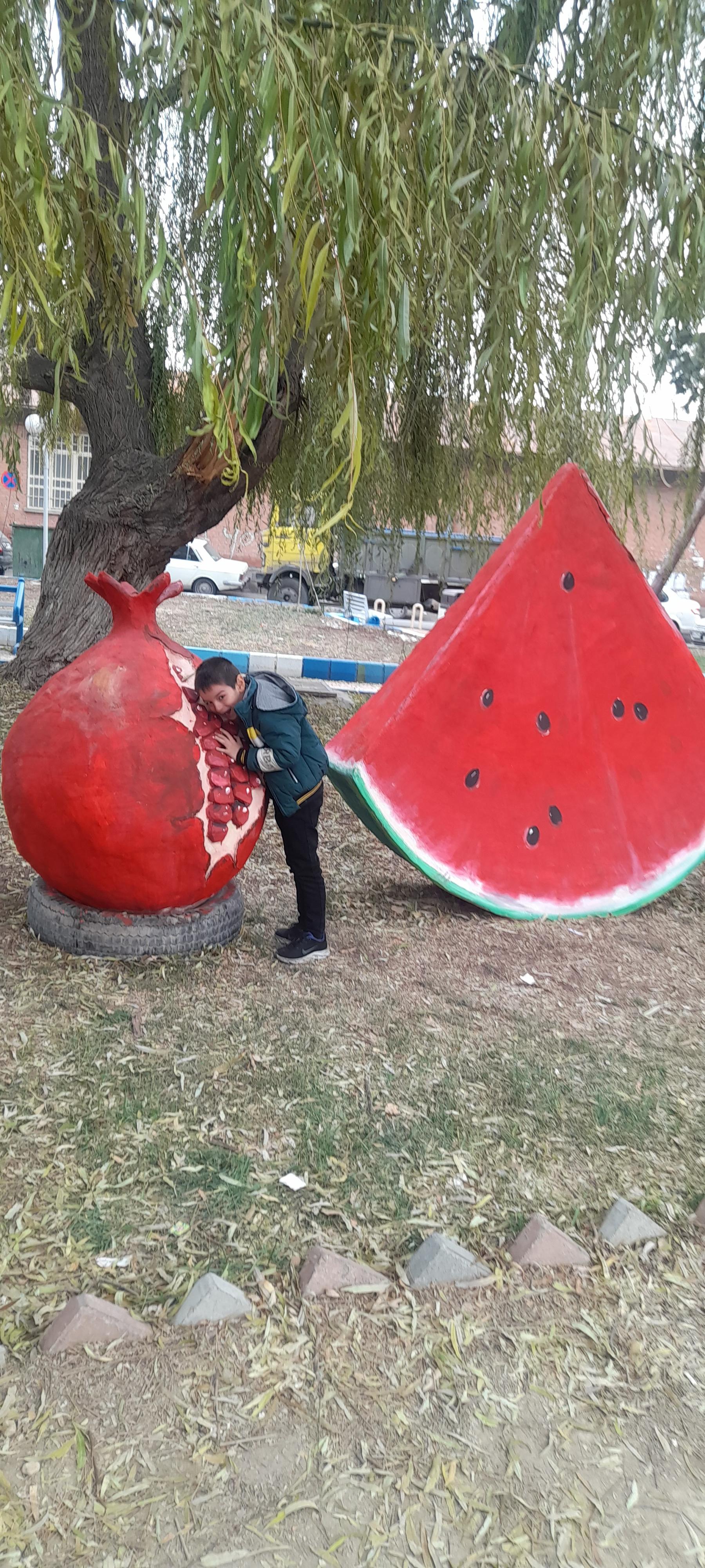 عکس بوستان کوی پیرلر 