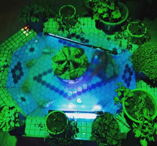 عکس کافه فروردین 