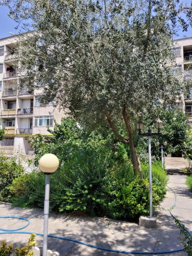 عکس مجتمع آزادی