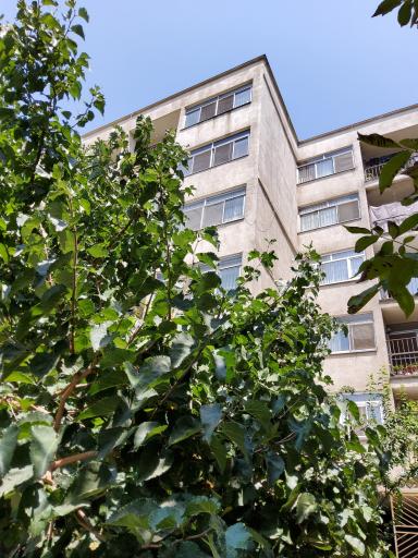 عکس مجتمع آزادی