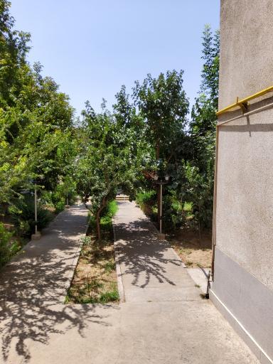 عکس مجتمع آزادی