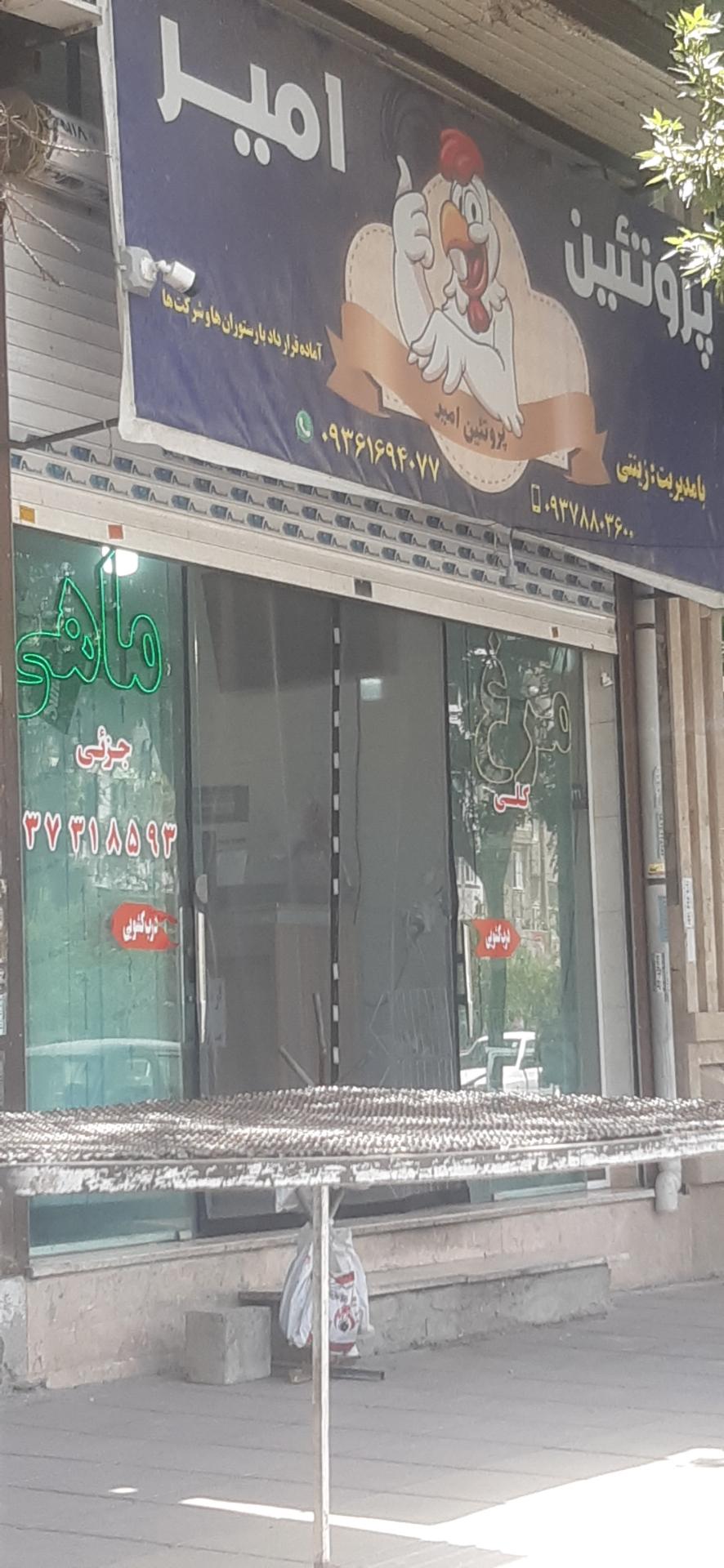 عکس پروتئین امیر