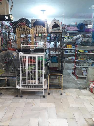 عکس لوازم و حیوانات خانگی پاندی پت