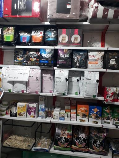 عکس لوازم و حیوانات خانگی پاندی پت