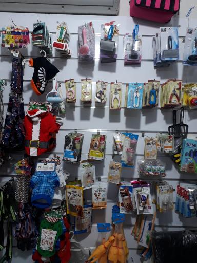 عکس لوازم و حیوانات خانگی پاندی پت