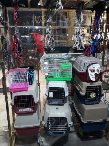 عکس لوازم و حیوانات خانگی پاندی پت