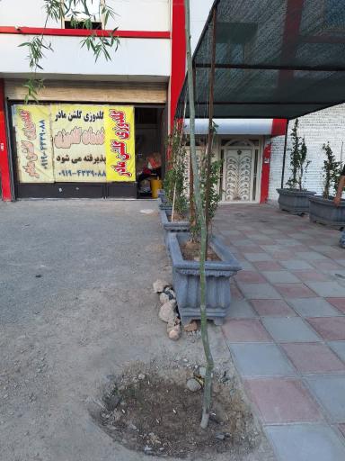 عکس گلدوزی گلشن