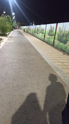 عکس ره باغ رضوان