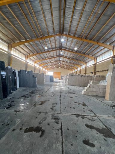 عکس کسرا استون 