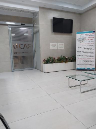 عکس رادیولوژی و سونوگرافی راد