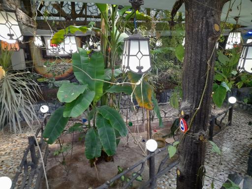 عکس غذا خوردی آتالار