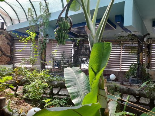 عکس غذا خوردی آتالار