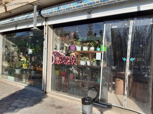 عکس کافه گل