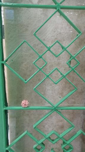 عکس امامزاده شعیب بن موسی بن جعفر 