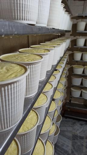 لبنیات پدیده