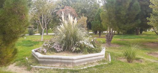 عکس پارک گل محمدی