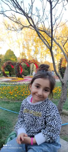 عکس پارک گل محمدی