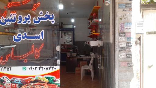 عکس پروتئینی اسدی