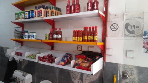 عکس پروتئینی اسدی