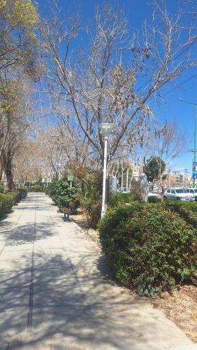 عکس پارک گل محمدی