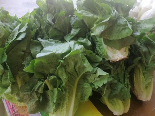 عکس سوپر مارکت حسینی