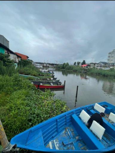 عکس شنبه بازار انزلی