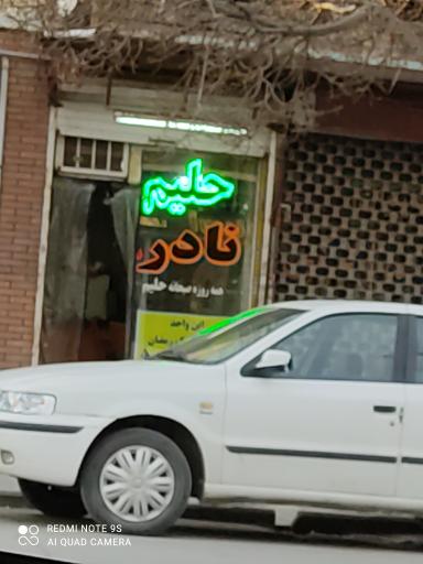 عکس حلیم نادر