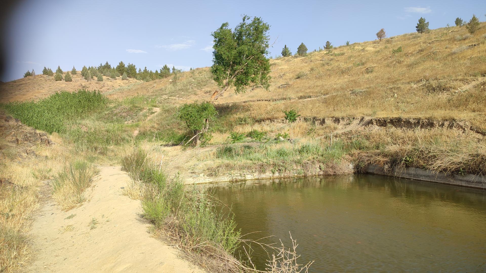 عکس چشمه ماهی 