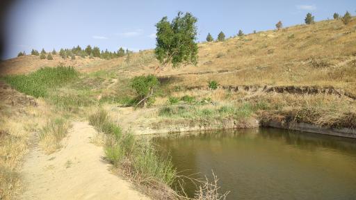 عکس چشمه ماهی 