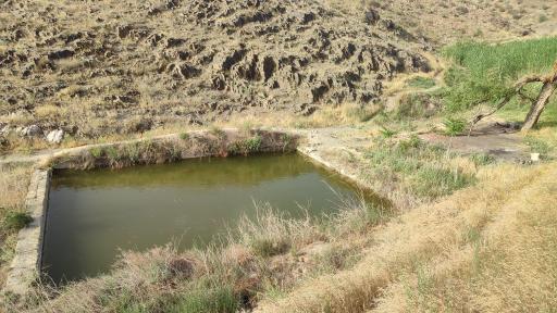 عکس چشمه ماهی 