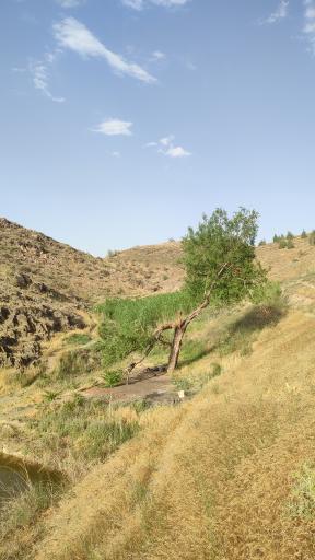 عکس چشمه ماهی 