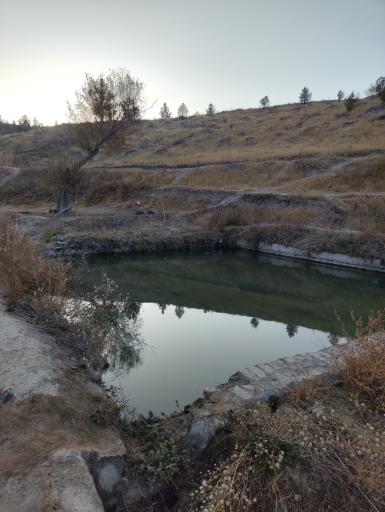 عکس چشمه ماهی 