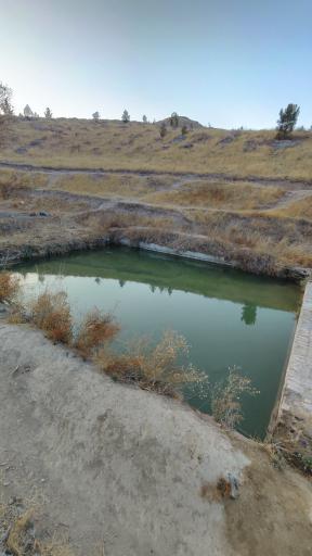 عکس چشمه ماهی 