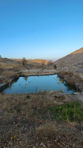 عکس چشمه ماهی 