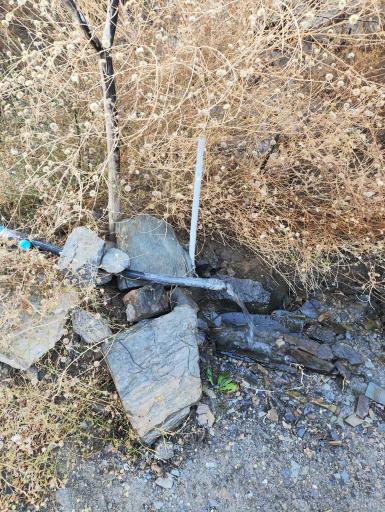 عکس چشمه ماهی 