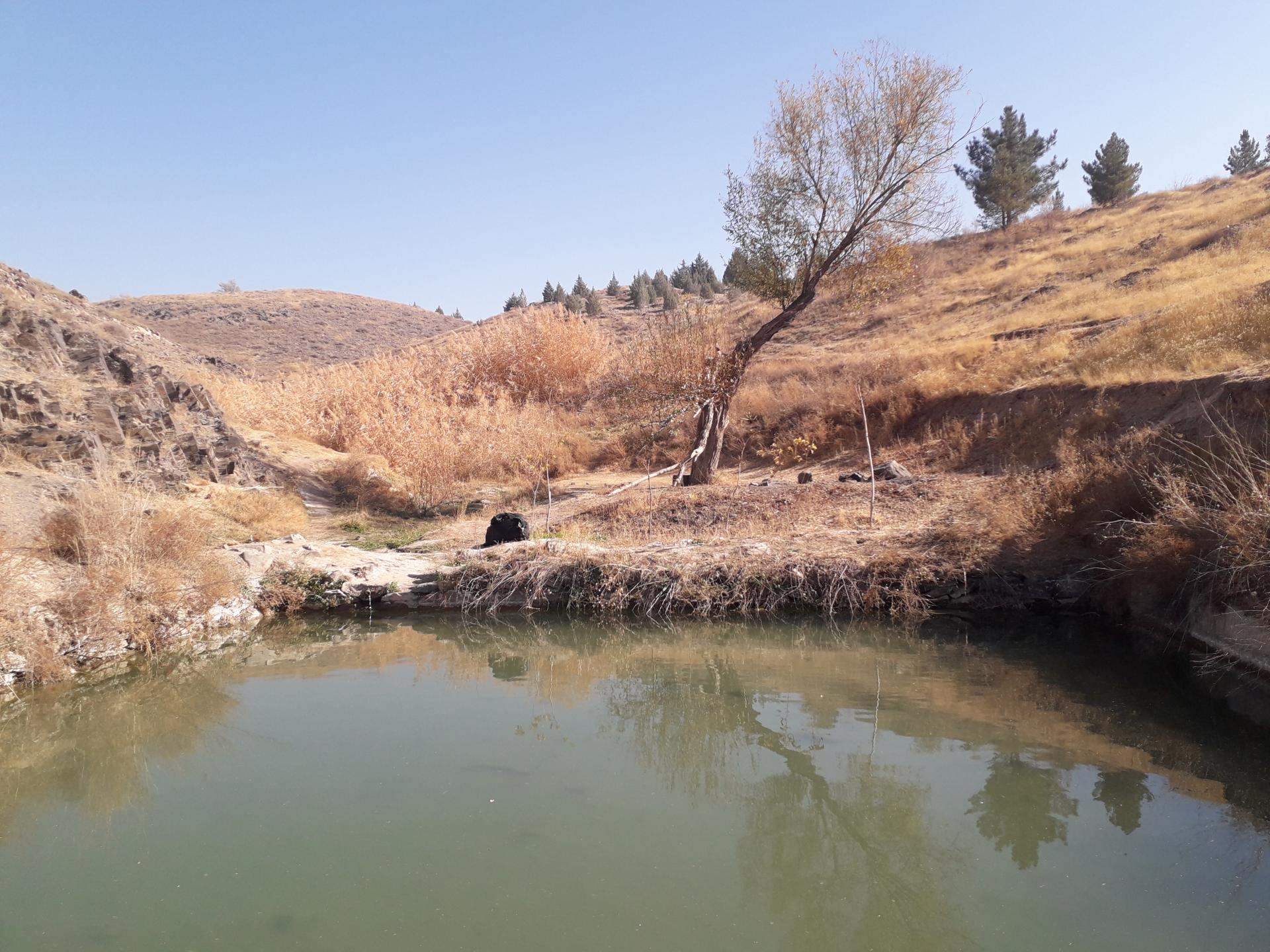 عکس چشمه ماهی 