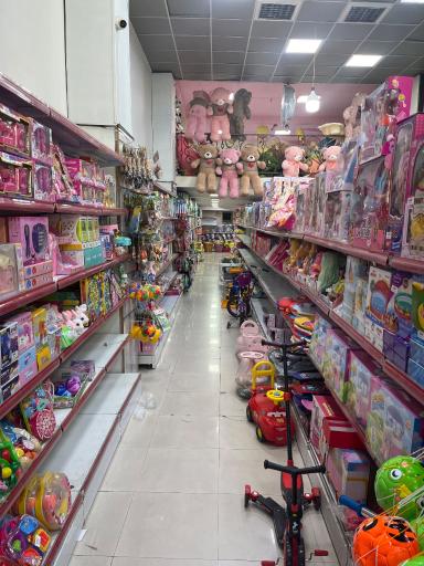 پخش اسباب بازی سید 