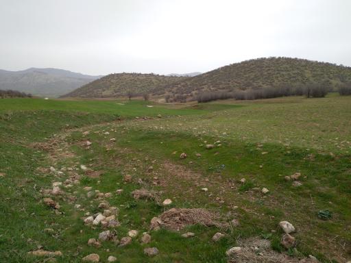 عکس پیرحیاتی
