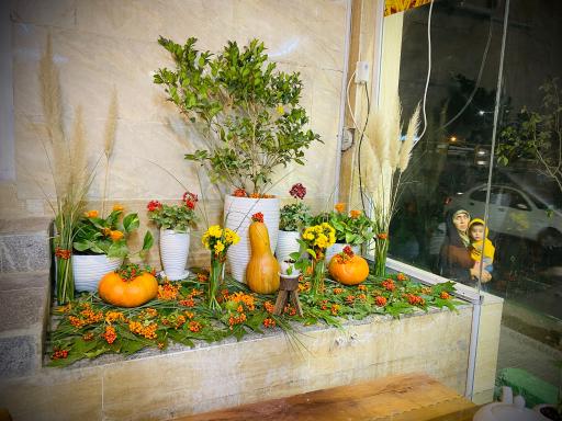 عکس نانوایی ارم