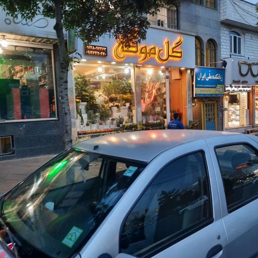 عکس گل فروشی موگه