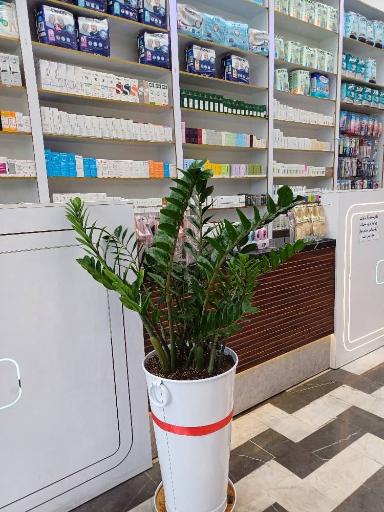 عکس داروخانه شبانه روزی دکتر هانیه محمدی