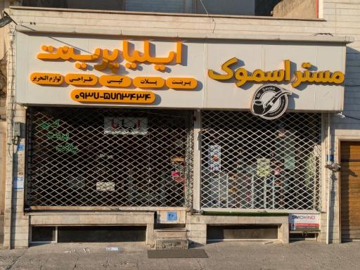 عکس ایلیا پرینت