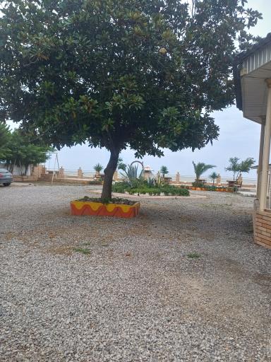 عکس متل ایدا