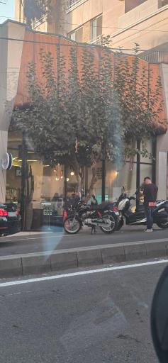 عکس بستنی فراگولا روما