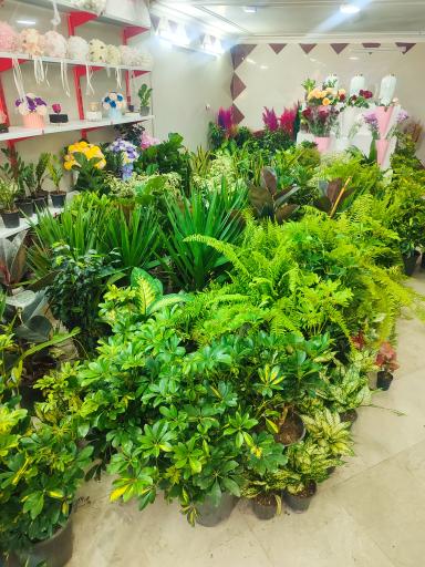 گل فروشی مجلل